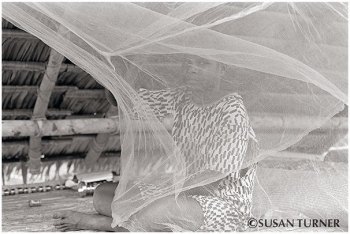 Yoki under My Mosquito Net