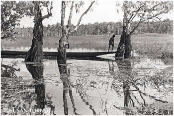 Afternoon at the Bush Camp