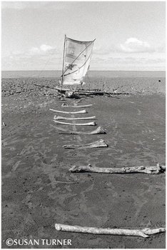 Transport in the Fly River Estuary