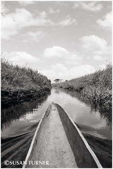 Pedaya Creek