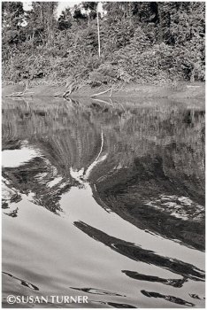 The Bank of the Fly River