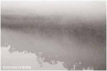 The Fly River in the Early Morning