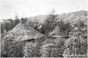 New Traditional Houses