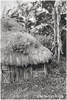 An Old Haus Kunai
