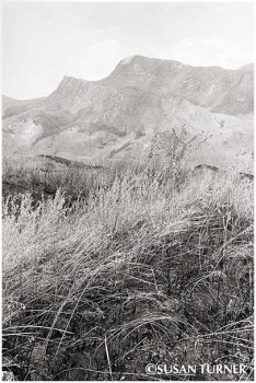 The Strickland River Grasslands