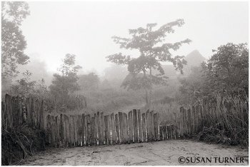Early Morning in Manu Village