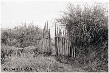 A Highlands Gate