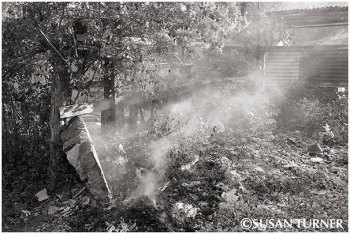 Burning Rubbish