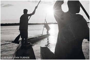 Going Turtle Hunting at Sunrise