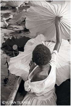 A Boazi Girl Gathering Lotus Leaves