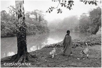 Oro and Two Village Dogs