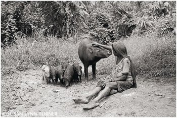 A Woman Caring for Her Pigs