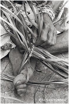 Starting a Basket for Making Sago