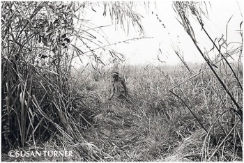 Turtle Hunting During the Big Drought
